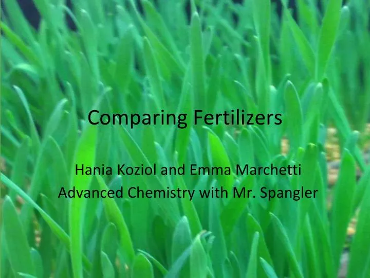 comparing fertilizers