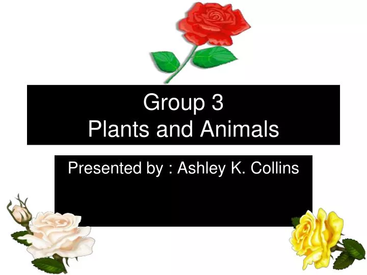group 3 plants and animals