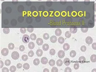 protozoologi blood protozoa ii
