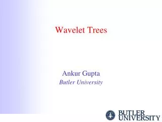 Wavelet Trees