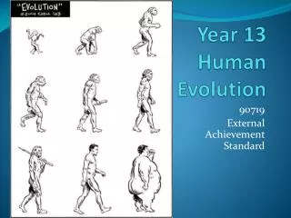 Year 13 Human Evolution