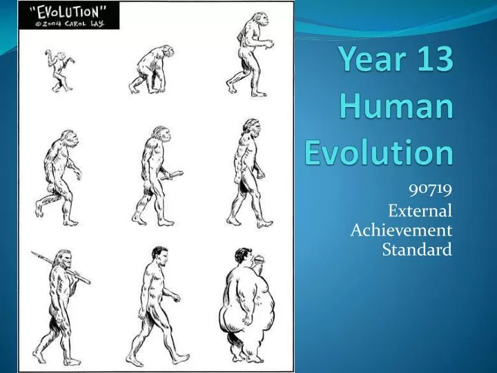 year 13 human evolution