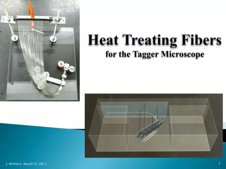 heat treating fibers for the tagger microscope