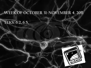 Week of October 31-November 4, 2011 Teks : 6.2, 6.5,