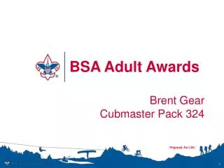 BSA Adult Awards