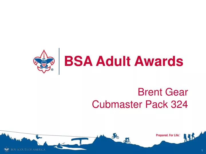 bsa adult awards