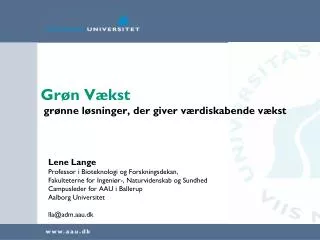 gr n v kst gr nne l sninger der giver v rdiskabende v kst