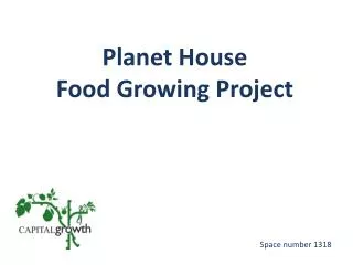 Planet House Food Growing Project