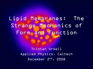 Lipid Membranes: The Strange Mechanics of Form and Function