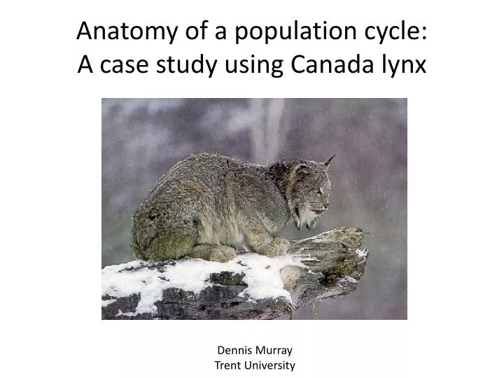 anatomy of a population cycle a c ase s tudy using canada lynx