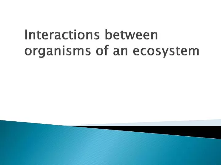 interactions between organisms of an ecosystem
