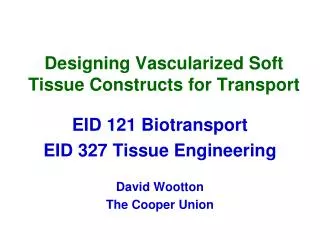 Designing Vascularized Soft Tissue Constructs for Transport