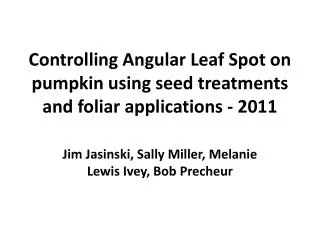 Controlling Angular Leaf Spot on pumpkin using seed treatments and foliar applications - 2011