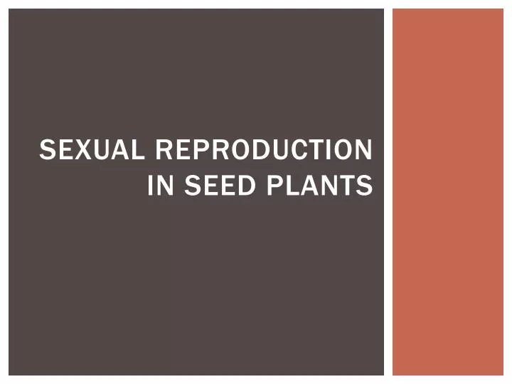 sexual reproduction in seed plants