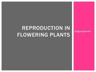 Reproduction in flowering plants