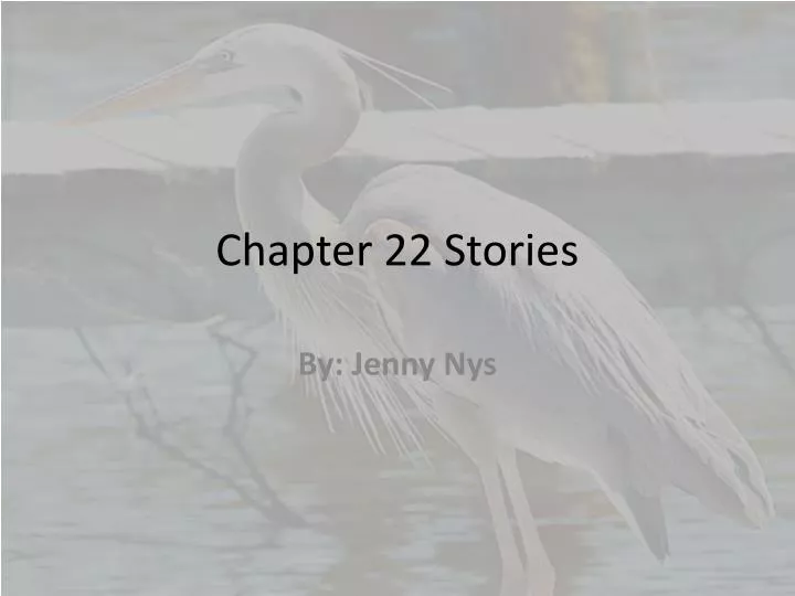 chapter 22 stories