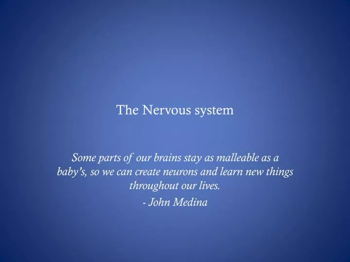 the nervous system