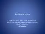 The Nervous system - slide 1