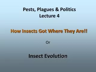 How Insects Got Where They Are!!
