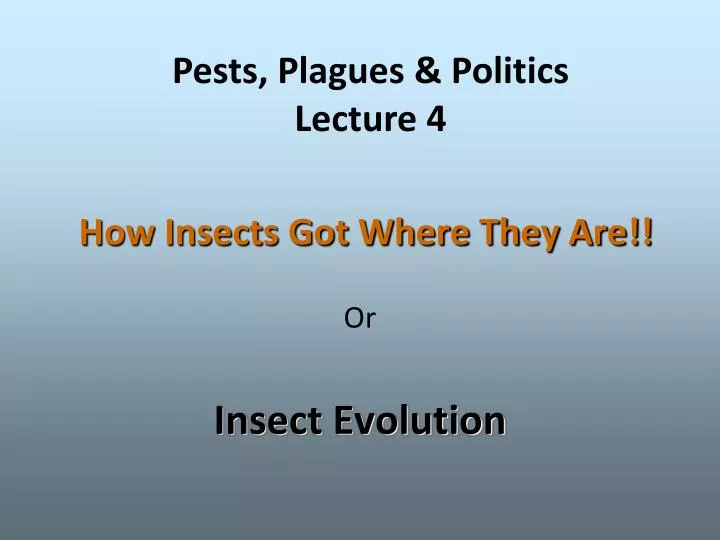 how insects got where they are