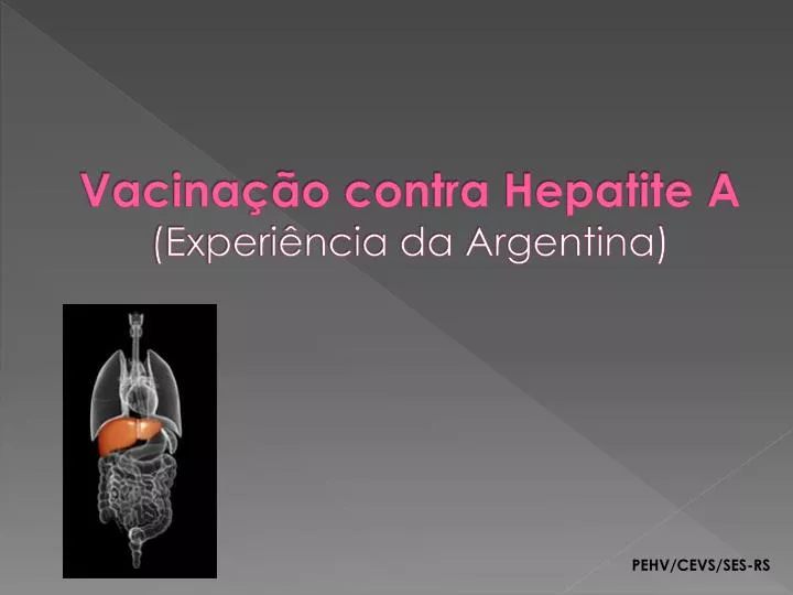 vacina o contra hepatite a experi ncia da argentina