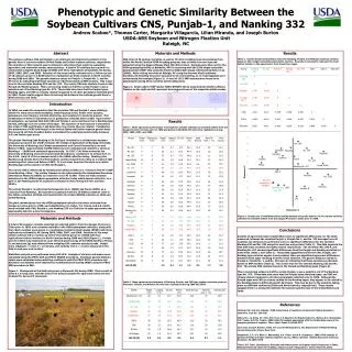 Phenotypic and Genetic Similarity Between the Soybean Cultivars CNS, Punjab-1, and Nanking 332