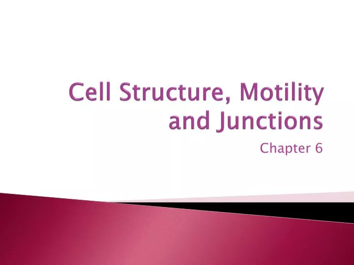 cell structure motility and junctions