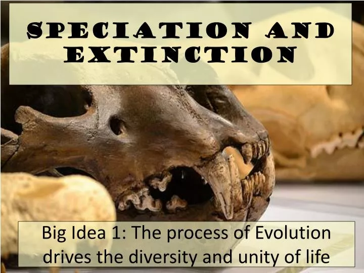 speciation and extinction