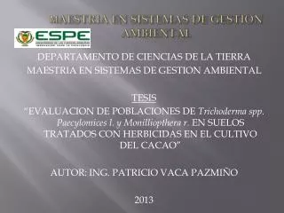 m aestria en sistemas de gestion ambiental
