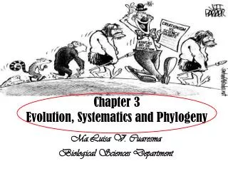 Chapter 3 Evolution, Systematics and Phylogeny