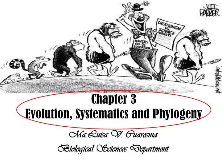 chapter 3 evolution systematics and phylogeny