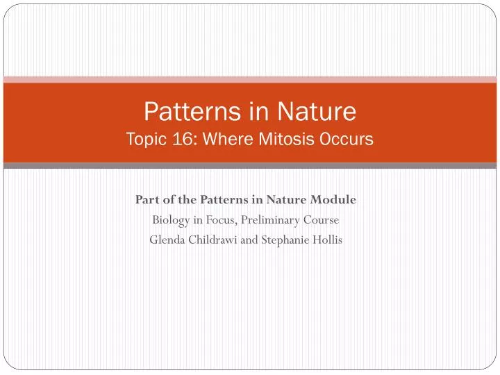 patterns in nature topic 16 where mitosis occurs