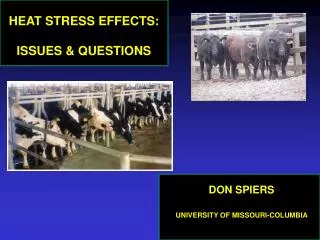 HEAT STRESS EFFECTS: ISSUES &amp; QUESTIONS