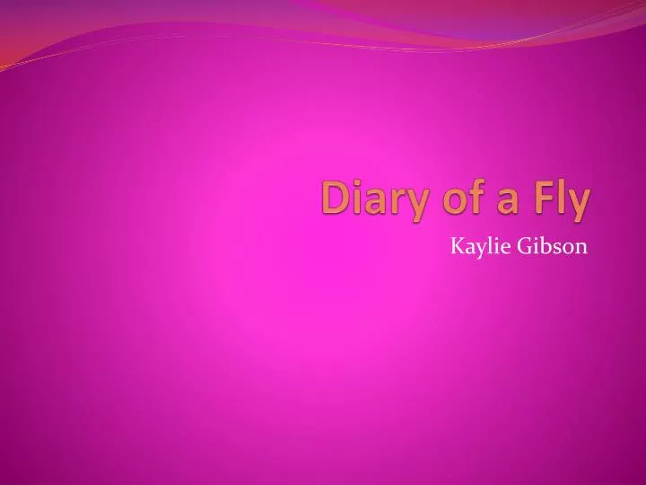 diary of a fly