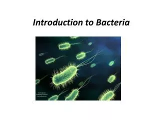 Introduction to Bacteria