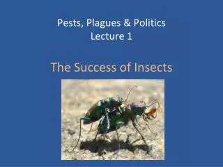 Pests, Plagues &amp; Politics Lecture 1 The Success of Insects