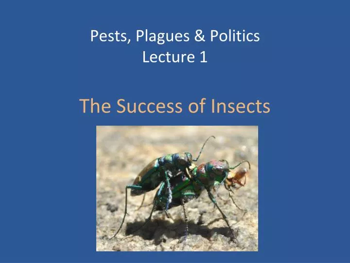 pests plagues politics lecture 1 the success of insects