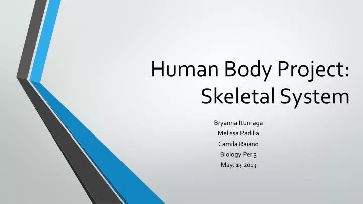 human body project skeletal system