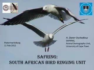 SAFRING: south african Bird ringing unit