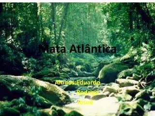 mata atl ntica