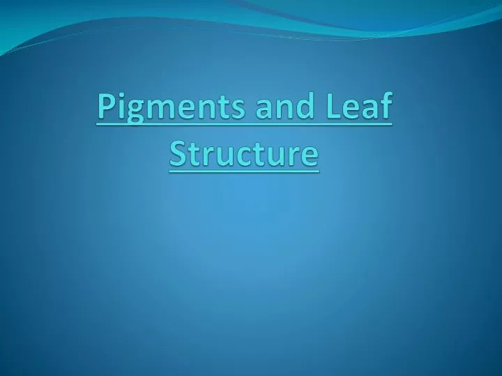 pigments and leaf structure