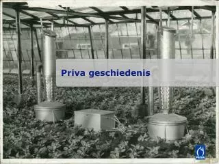 priva geschiedenis
