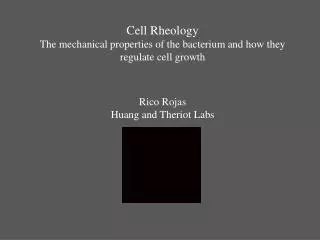 Cell Rheology The mechanical properties of the bacterium and how they regulate cell growth