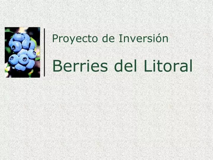 proyecto de inversi n berries del litoral