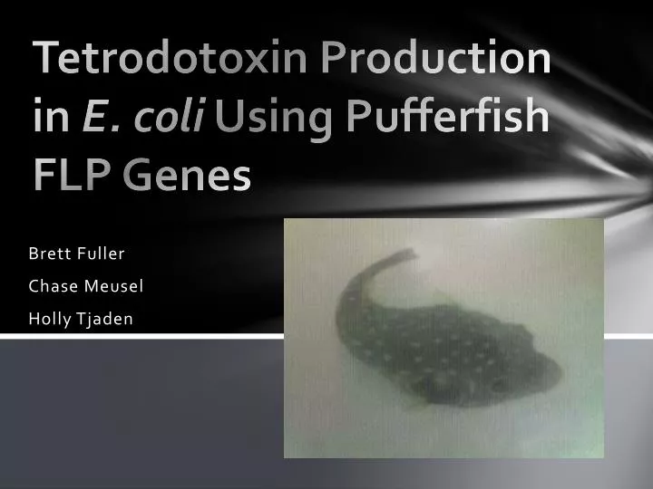 tetrodotoxin production in e coli using pufferfish flp genes