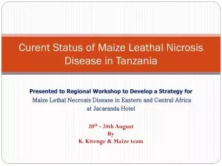 Curent Status of Maize Leathal Nicrosis Disease in Tanzania