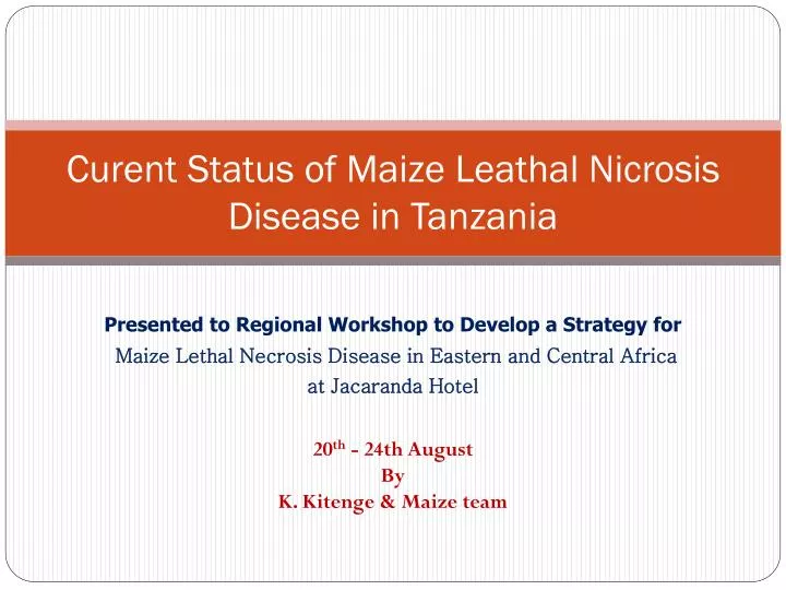 curent status of maize leathal nicrosis disease in tanzania