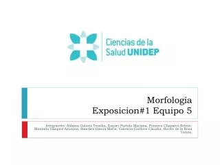 Morfología Exposicion#1 Equipo 5