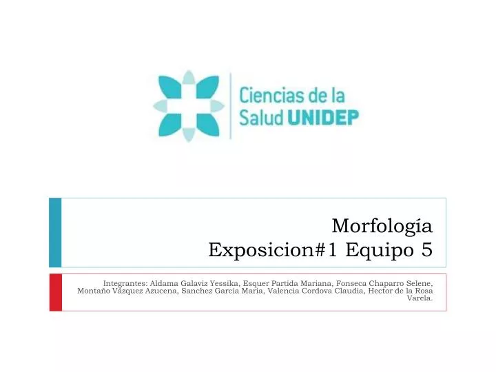 morfolog a exposicion 1 equipo 5