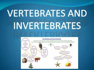 VERTEBRATES AND INVERTEBRATES